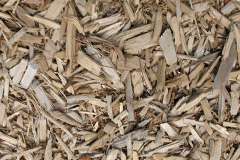 biomass boilers Talacre